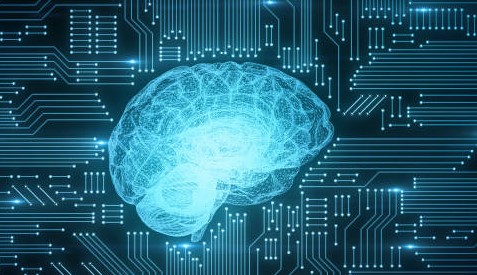 A Concept of AI Digital Brain