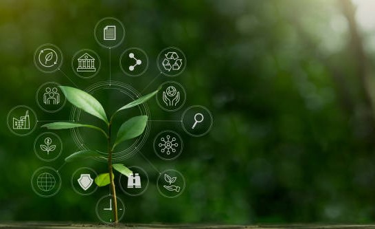 A Plant with Protection using AI Technology Concept