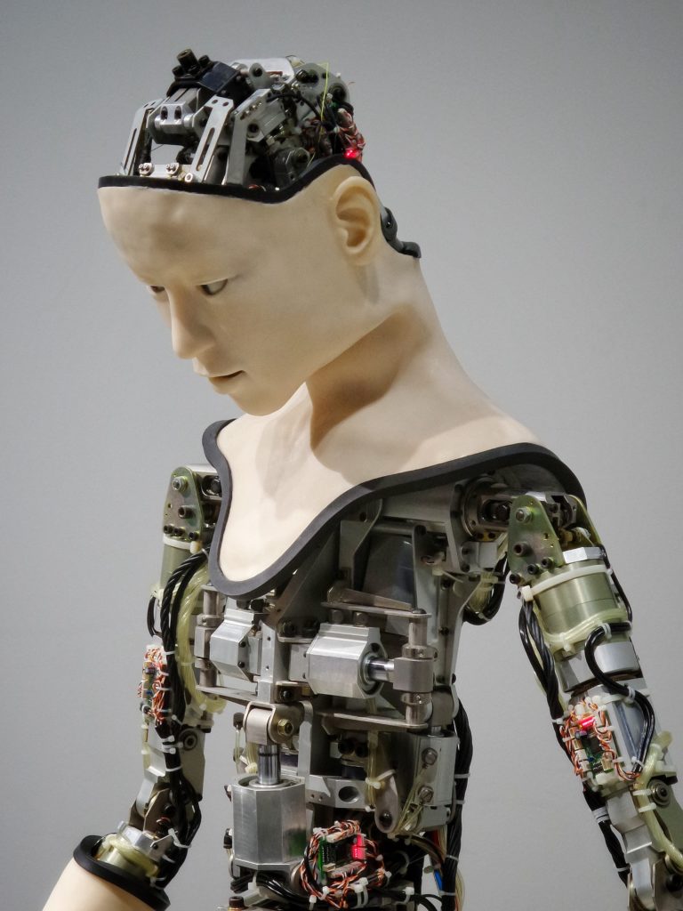 An AI Robot under Development